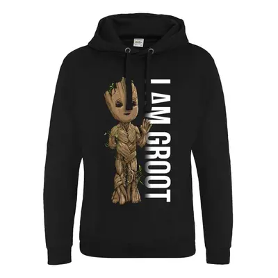 Guardians Of The Galaxy I Am Groot - Profile Hooded sweater black