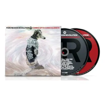 Pure Reason Revolution Coming up to consciousness CD multicolor