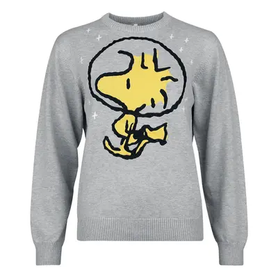 Peanuts Woodstock Knit jumper mottled grey