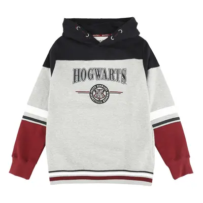 Harry Potter Kids - Hogwarts - England Made Hoodie Sweater multicolour