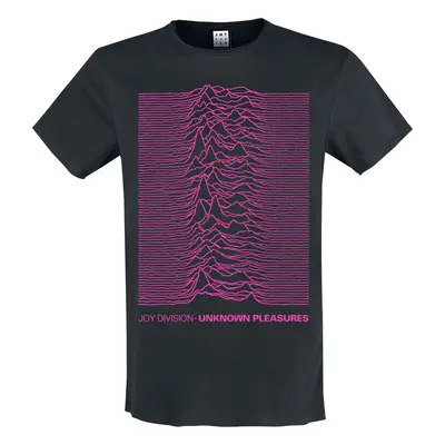 Joy Division Amplified Collection - Unknown Pleasures Neon Pink T-Shirt charcoal