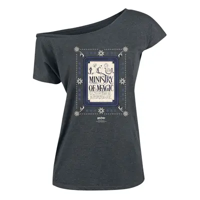 Harry Potter Ministery Of Magic T-Shirt grey