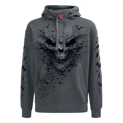 Spiral Bat Skull Hooded sweater grey