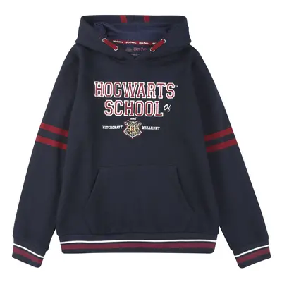 Harry Potter Kids - Hogwarts School Hoodie Sweater multicolour