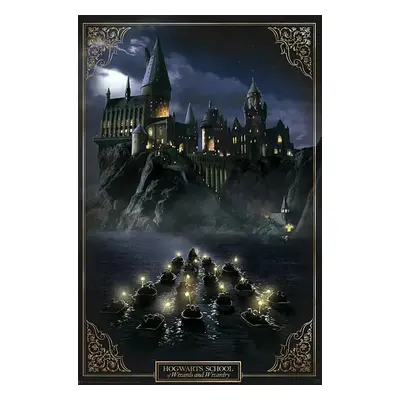 Harry Potter Hogwarts Castle Poster multicolour