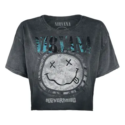 Nirvana Nevermind T-Shirt grey