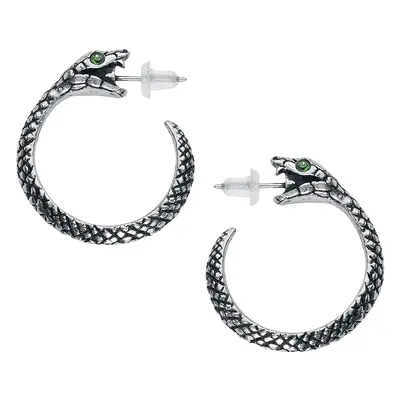 Alchemy Gothic Sophia Serpent Earrings Earring Set silver coloured