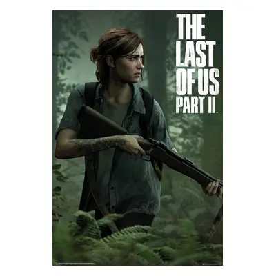 The Last Of Us 2 - Ellie Poster multicolour