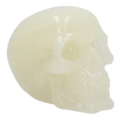 Nemesis Now Phosphorescent Skull (Glow in the Dark) Statue creme