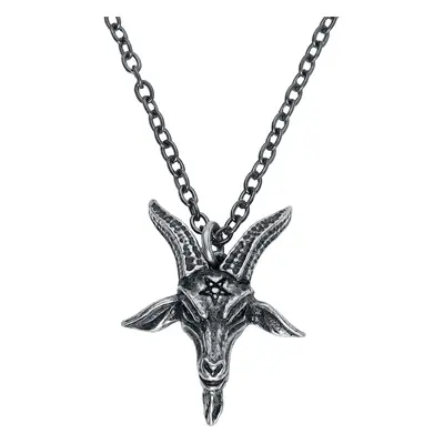 Alchemy Gothic Templar's Bane Pendant Necklace silver coloured