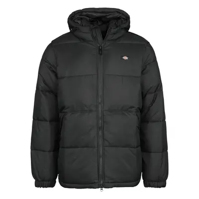 Dickies Waldenburg hooded jacket Winter Jacket black