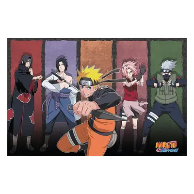 Naruto Shippuden - Naruto & Allies Poster multicolour