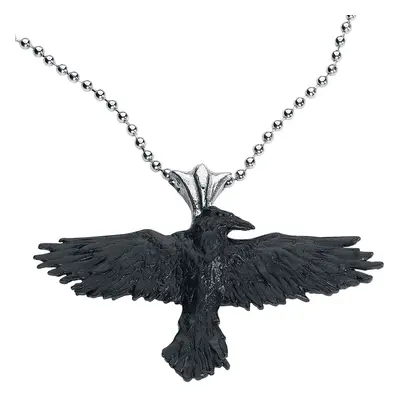 Alchemy Gothic Black Raven Necklace black