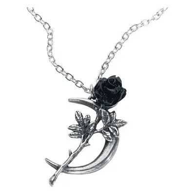 Alchemy Gothic New Romance Necklace silver coloured