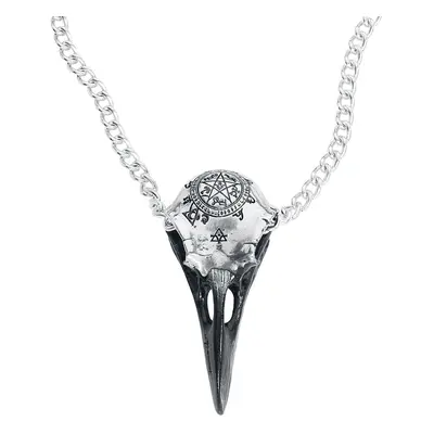 Alchemy Gothic Volvan Raven Skull Necklace silver coloured