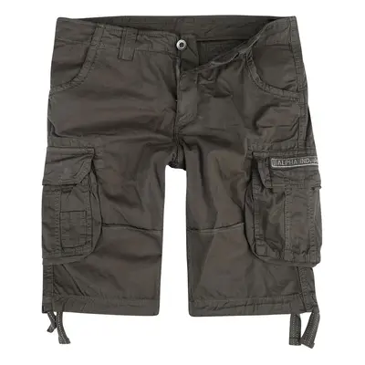 Alpha Industries Jet shorts Shorts grey