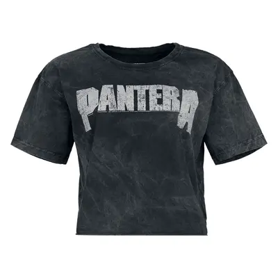 Pantera Logo T-Shirt black