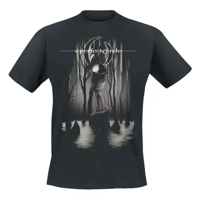 A Perfect Circle Disillusioned T-Shirt black