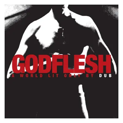 Godflesh A world lit only by fire CD multicolor