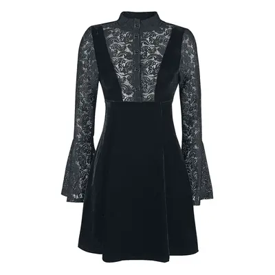 Banned Velvet and Lace Short dress black