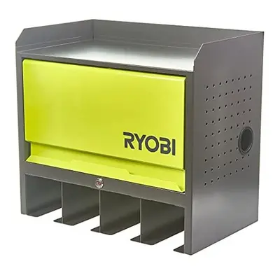 Ryobi RHWS-01 Wall Mounted Cabinet with Door