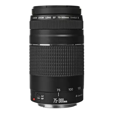 Canon EF 75-300mm f/4-5.6 III Telephoto Zoom Lens For Canon Cameras - Black