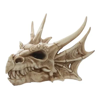 Collectable Dragon Skull