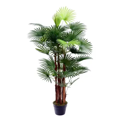 Best Artificial 4ft - 120cm Spider Finger Palm Tree