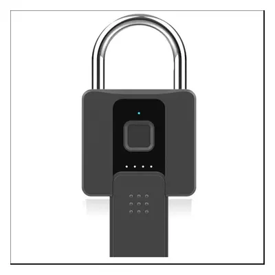 Warehouse Padlock Smart Fingerprint Padlock Waterproof Burglar Lock