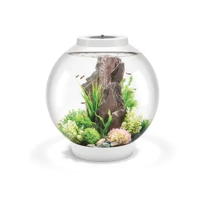 Baby BiOrb 15L Aquarium in White with MCR LED Lighting