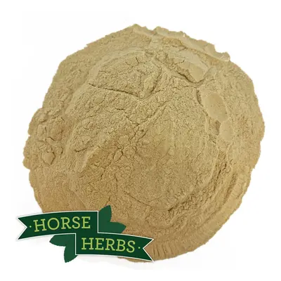 Horse Herbs Brewers Yeast 5kg - Horse or Pony Feed Supplement, Equine