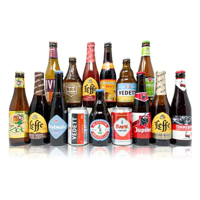 Discovery of Belgian Beers Mixed Case (12 Pack)