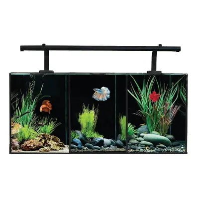 Aqua One Betta Trio Glass Aquarium