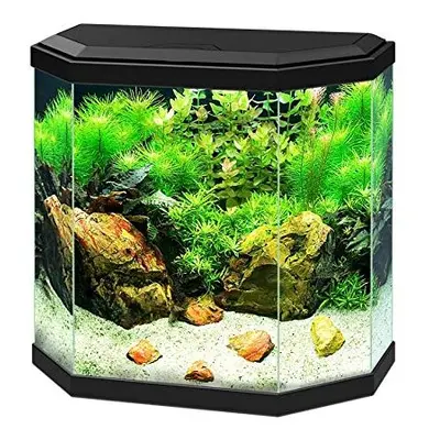 Ciano Aqua Black LED Hexagonal Children's Stylish Cold Water Gold Fish Tank