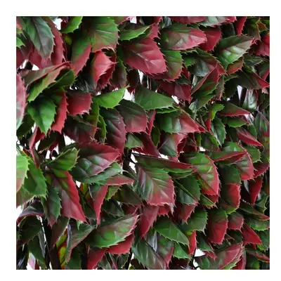 100cm x 200cm Artificial Fence Trellis Screening Privacy Garden - Red Variagated Beech Leaf