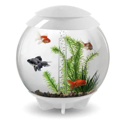 BiOrb Halo 30L Aquarium in White with MCR LED Lighting