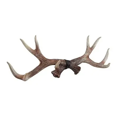 Zeckos inch Lifelike Deer Antler Rack Decorative Hunting Cabin Natu