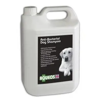 Aqueos Anti Bacterial Dog Shampoo 5L