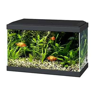 Ciano Aqua Aquarium with LED Lights & Filter BLACK