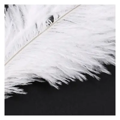 200 Pieces White Natural Ostrich Feather 20-25cm Wedding DIY