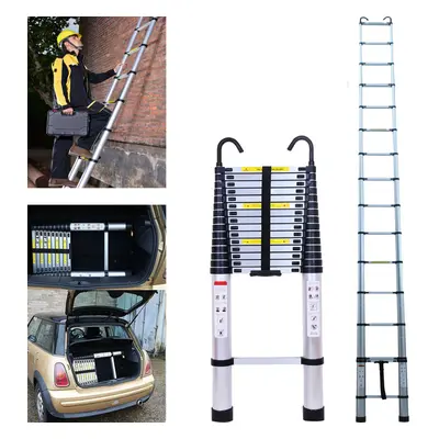 6.2M/20.3M Multi Purpose Ladder for Home Building Maintenance Painting Telescopic Extension Step