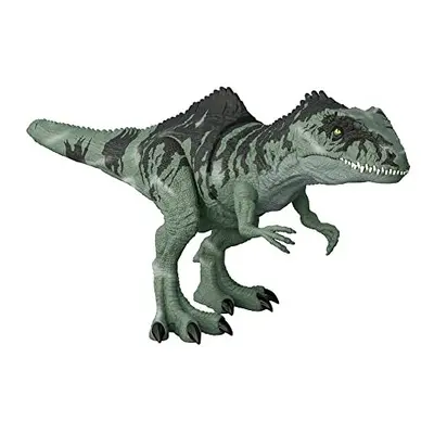 Jurassic World Dominion Dinosaur Toy, Strike N Roar Giganotosaurus, Action Figure with Striking 