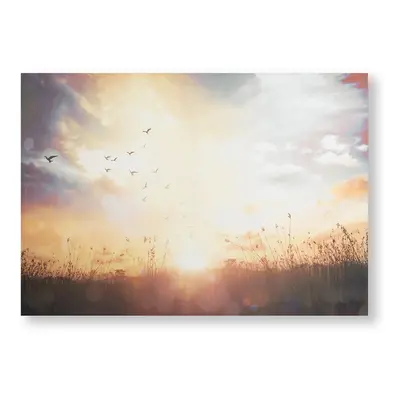 Art for the Home Serene Sunset Meadow Printed Canvas