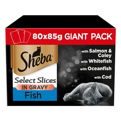 80pk Sheba Select Slices Fish Collection In Gravy | Wet Cat Food - x 85g Pouches