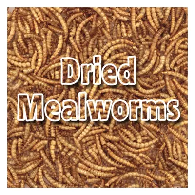 Bulk Dried Mealworms 10kg