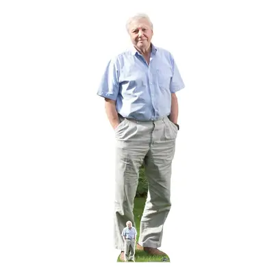 Sir David Attenborough Celebrity Cardboard Cutout / Standee / Standup / Standee