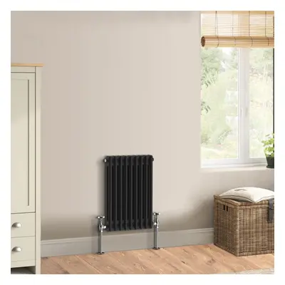 (600 x 425mm - Double) Warmehaus Traditional Cast Iron Style Black Radiator Perfect for Bathroom