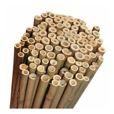 (7ft, 50) Elixir Gardens Strong Heavy Duty Professional Bamboo Plant Support Garden Canes | 2ft 