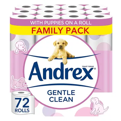 Andrex Gentle Clean Toilet Rolls - Toilet Roll Pack (2-ply)