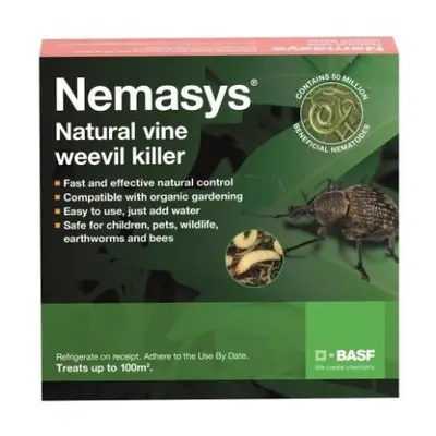 (Nemasys VW sqm) Nemasys Vine Weevil Killer